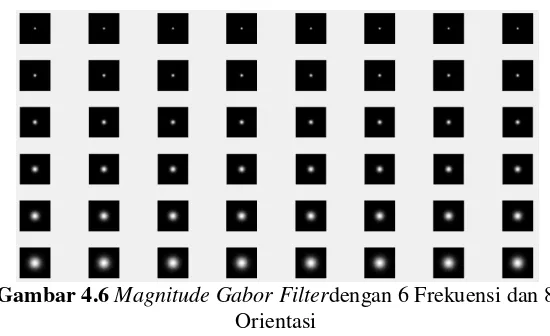 Gambar 4.6  Magnitude Gabor Filterdengan 6 Frekuensi dan 8 