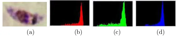 Gambar 2.4: (a)Citra sumber (b) Citra komponenponen red (c) Citra kom- green (d) Citra komponen blue.