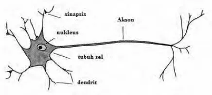 Gambar 2.9: Struktur dasar jaringan syaraf tiruan dan struktur seder-hana sebuah neuron[7].