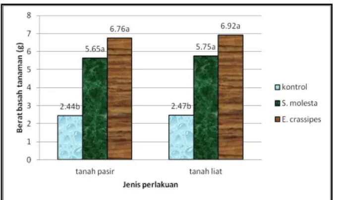 Tabel  7.  Interaksi  antara  jenis  tanah  dengan  jenis  pembenah tanah terhadap berat basah tanaman Hibiscus  sabdariffa Perlakuan  Variabel penelitian  Berat Basah (g)  T1S0  2.44 b  T1S1  5.65 a  T1S2  6.76 a  T2S0  2.47 b  T2S1  5.75 a  T2S2  6.92 a 