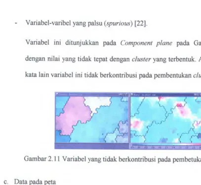 Gambar 2.11 Variabel yang tidak berkontribusi pada pembetukan cluster 