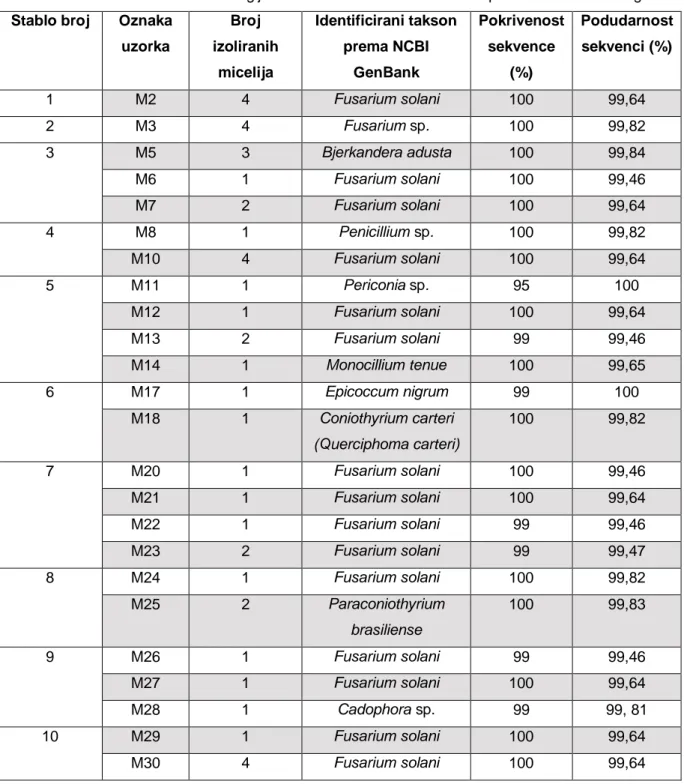 Tablica 3. Tablica dobivenih taksona gljiva u KSP Petkovac identificiranih prema GenBank bazi gena Stablo broj  Oznaka 