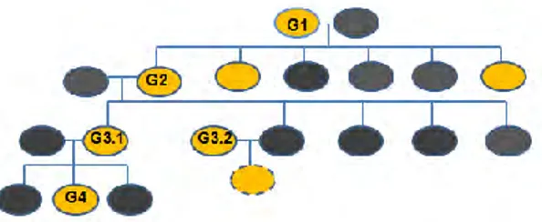 Figura 1. Árbol Genealógico 
