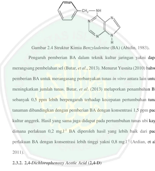 Gambar 2.4 Struktur Kimia Benzyladenine (BA) (Abidin, 1983). 