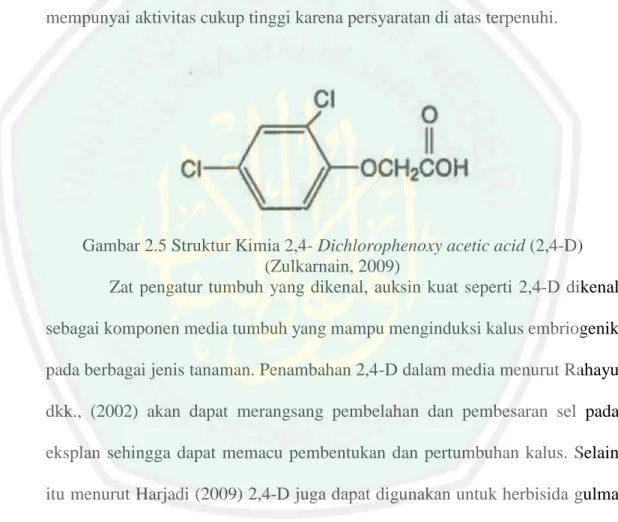 Gambar 2.5 Struktur Kimia 2,4- Dichlorophenoxy acetic acid (2,4-D)  (Zulkarnain, 2009) 