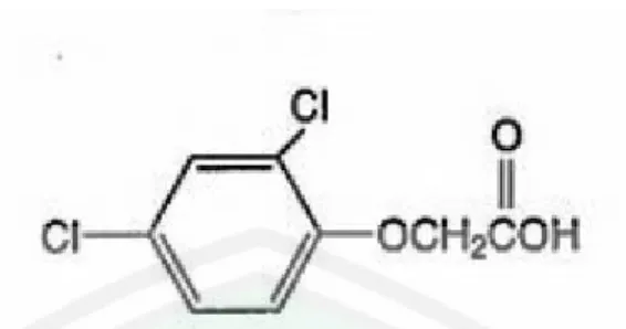 Gambar 2.6 Struktur kimia 2,4-D (Zulkarnain, 2009) 