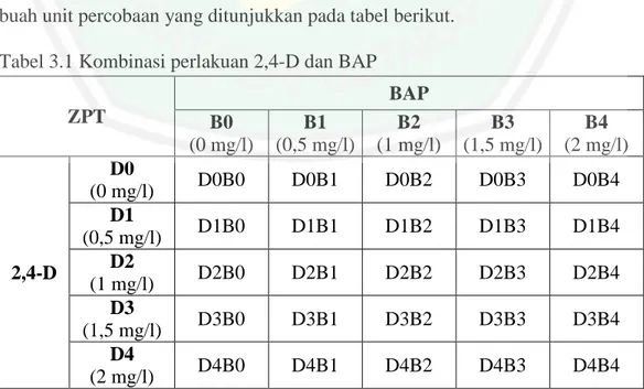 Tabel 3.1 Kombinasi perlakuan 2,4-D dan BAP  ZPT  BAP  B0  (0 mg/l)  B1  (0,5 mg/l)  B2  (1 mg/l)  B3  (1,5 mg/l)  B4  (2 mg/l)  2,4-D  D0  (0 mg/l)  D0B0  D0B1  D0B2  D0B3  D0B4 D1 (0,5 mg/l) D1B0 D1B1 D1B2 D1B3 D1B4 D2  (1 mg/l)  D2B0  D2B1  D2B2  D2B3  
