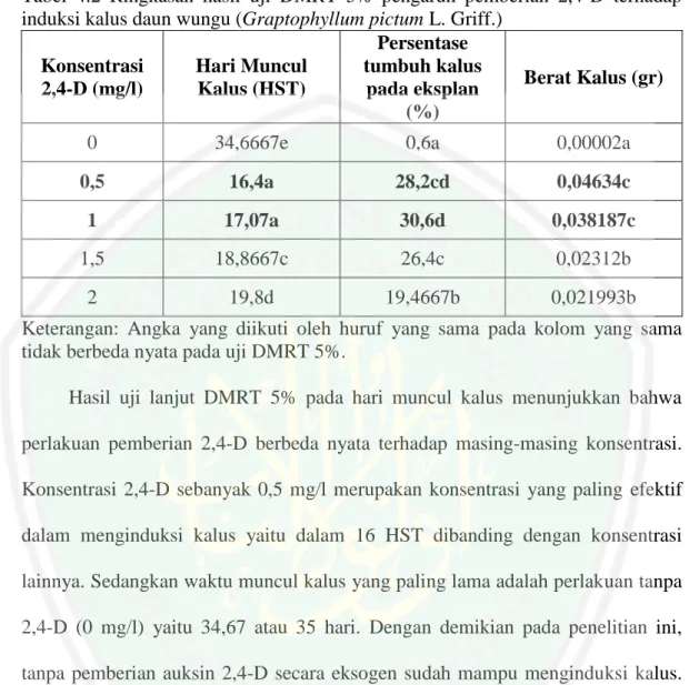 Tabel  4.2  Ringkasan  hasil  uji  DMRT  5%  pengaruh  pemberian  2,4-D  terhadap  induksi kalus daun wungu (Graptophyllum pictum L