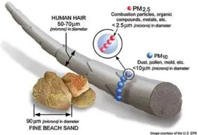 Gambar 2.1 Perbandingan Ukuran PM10 dengan Rambut Manusia dan Pasir  