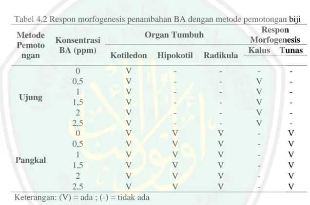 Tabel 4.2 Respon morfogenesis penambahan BA dengan metode pemotongan biji  Metode 