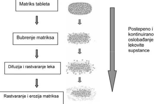 Figure 1   Drug release from matrix tablet 