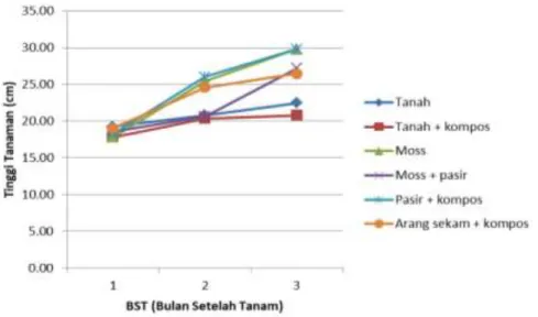 Gambar 2 . Pengamatan pertumbuhan tinggi tanaman H. borneense dari 1 bulan setelah tanam hingga  3 bulan setelah tanam 