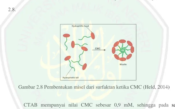 Gambar 2.8 Pembentukan misel dari surfaktan ketika CMC (Held, 2014) 