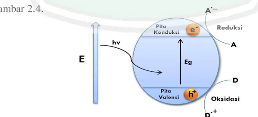 Gambar 2.4 Skema proses fotoeksitasi pada suatu bahan semikonduktor  (Licciulli, dan lisi.,2002)