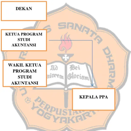 Gambar 2.  Bagan Struktur Organisasi Program Studi Akuntansi 