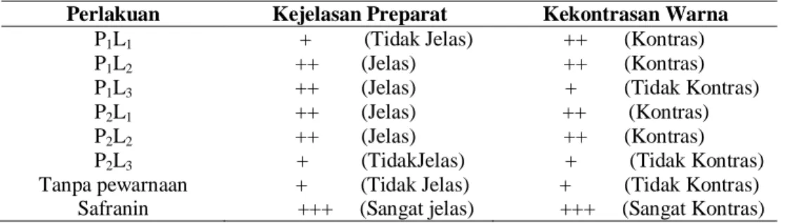 Tabel 1.  Kualitas  preparat  mitosis  akar  Allium  cepa  dengan  perlakuan  jenis  pelarut dan lama pewarnaan