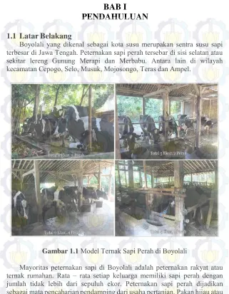 Gambar 1.1 Model Ternak Sapi Perah di Boyolali 