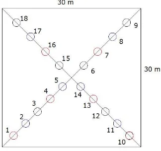 Gambar 3.2 Sampling Pola Diagonal sampel tanah pada jalur pengangkutan dilakukan dengan menentukan titik sampling di sepanjang jalur pengangkutan dengan membuat struktur garis-garis atau metode linear sourceterjadi pada jalur pengangkutan mengikuti struktu