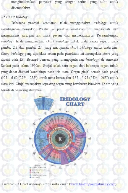 gambar 2.3 dan gambar 2.4 yang merupakan chart iridology untuk mata kiri. 