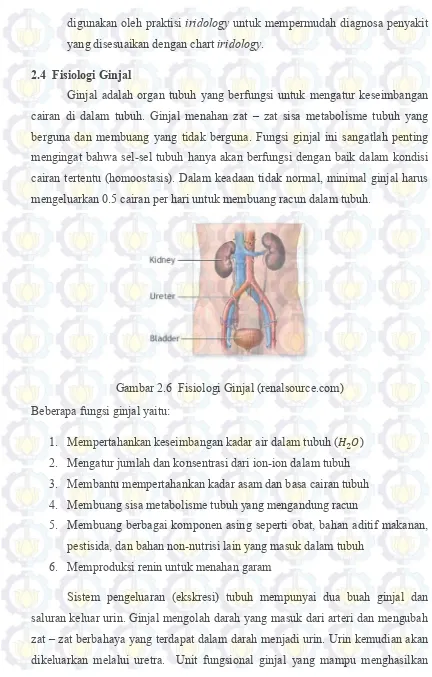 Gambar 2.6  Fisiologi Ginjal (renalsource.com) 