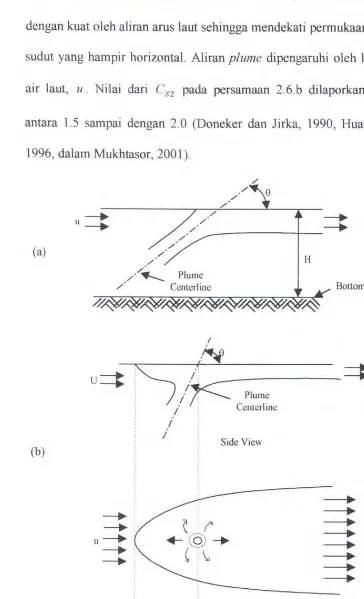 Gambar 2.3. Model tipikal daerah intermediate dari buoyant jet (Mukhtasor, 2001) 