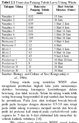 Tabel 2.1 Umur dan Panjang Tubuh Larva Udang Windu  