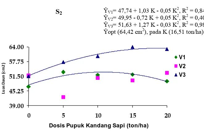 Gambar 4. Hubungan Varietas dan Dosis Pupuk Kandang Sapi untuk Sistem Tanam (S1 dan S2) terhadap Luas Daun Umur 12 MSS  