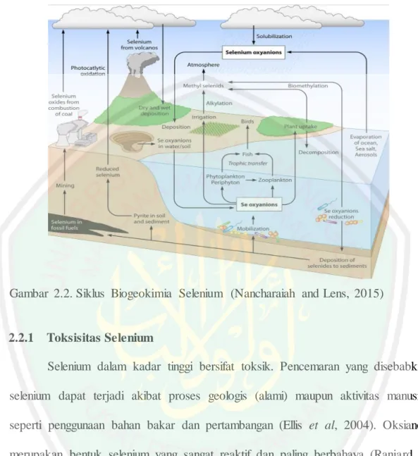 Gambar  2.2. Siklus  Biogeokimia  Selenium  (Nancharaiah  and Lens,  2015) 