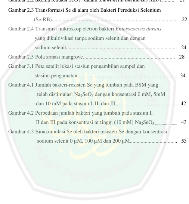 Gambar 2.1 Siklus selenium secara global di alam..........................................