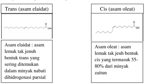 Gambar 1. Contoh struktur asam lemak. 21