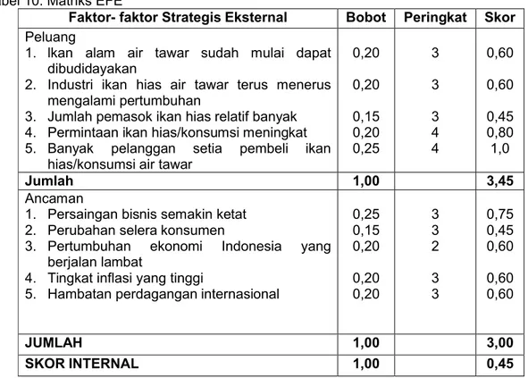Tabel 10. Matriks EFE