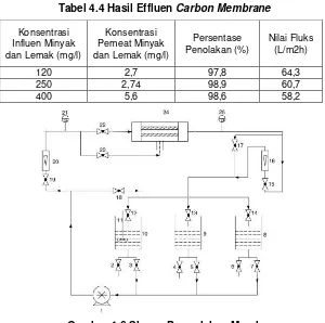 Tabel 4.4 Hasil Effluen Carbon Membrane 
