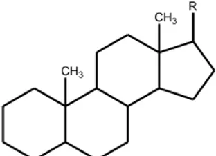 Gambar 2.4 Struktur Steroid (Sumardjo, 2009) 