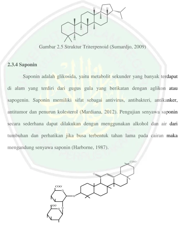 Gambar 2.5 Struktur Triterpenoid (Sumardjo, 2009) 