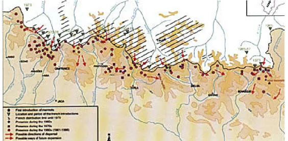 Figura 8. Proceso de colonización de la marmota alpina en la vertiente sur del Pirineo