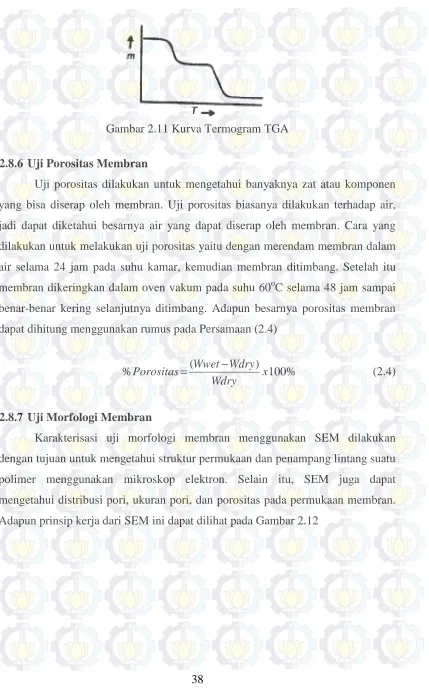 Gambar 2.11 Kurva Termogram TGA   