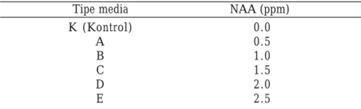 Tabel 2. Nilai rataan dan persentase peningkatan berat kering kalus berakar  C. roseus yang diberi NAA pada berbagai konsentrasi Kalus/NAA                                                                      Persentase    (ppm)                             