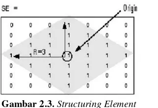 Gambar 2.3. Structuring Element 