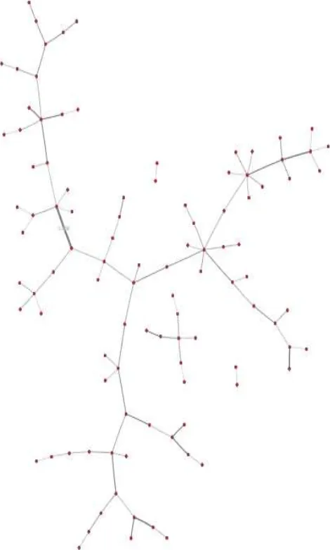 Gambar 3.4 Minimum Spanning Tree yang terbentuk dari data graph kerjasama peneliti Fakultas Teknologi Informasi ITS 