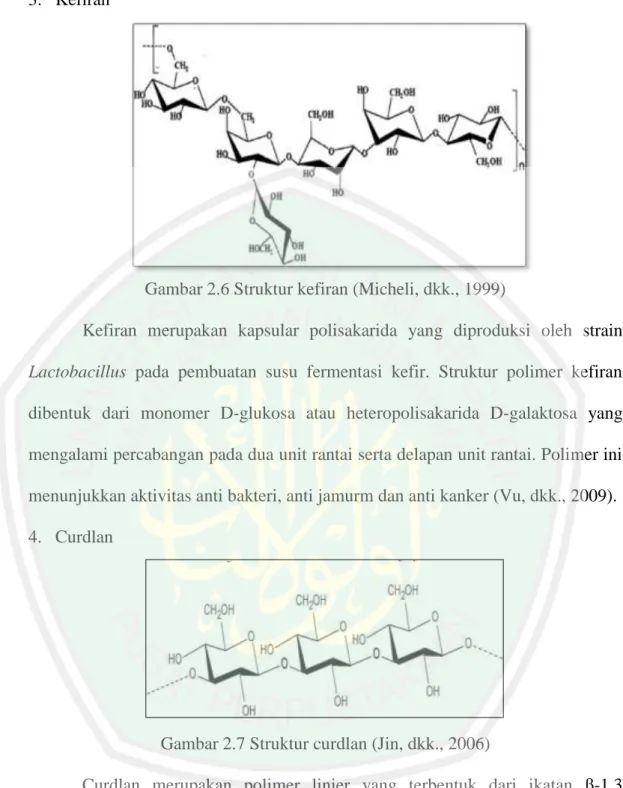 Gambar 2.6 Struktur kefiran (Micheli, dkk., 1999) 