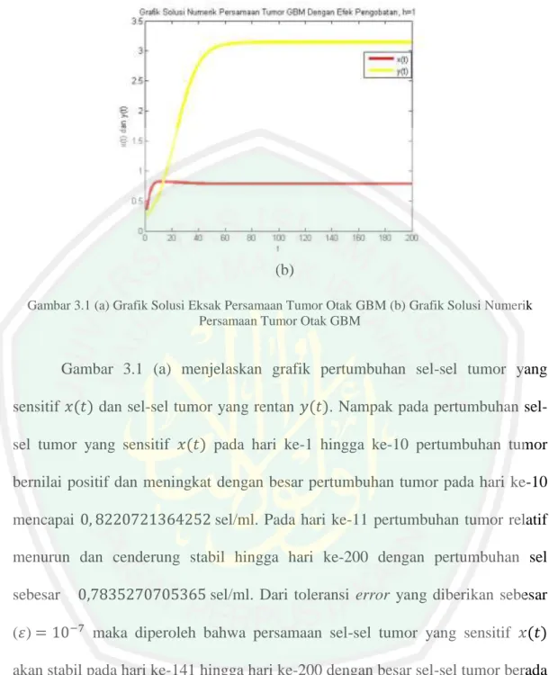 Gambar 3.1 (a) Grafik Solusi Eksak Persamaan Tumor Otak GBM (b) Grafik Solusi Numerik  Persamaan Tumor Otak GBM 