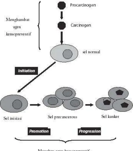 Gambar 2.1. Multitahap karsinogenesis (dimodifikasi dari Tsao, et al., 2004) 