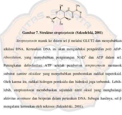 Gambar 7. Struktur streptozotocin (Szkudelski, 2001)