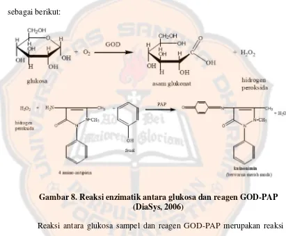 Gambar 8. Reaksi enzimatik antara glukosa dan reagen GOD-PAP