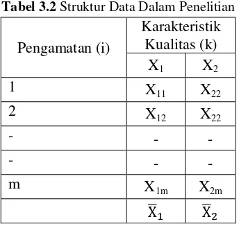 Tabel 3.2 Struktur Data Dalam Penelitian 