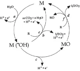 Gambar 2. 2 Mekanisme Oksidasi 