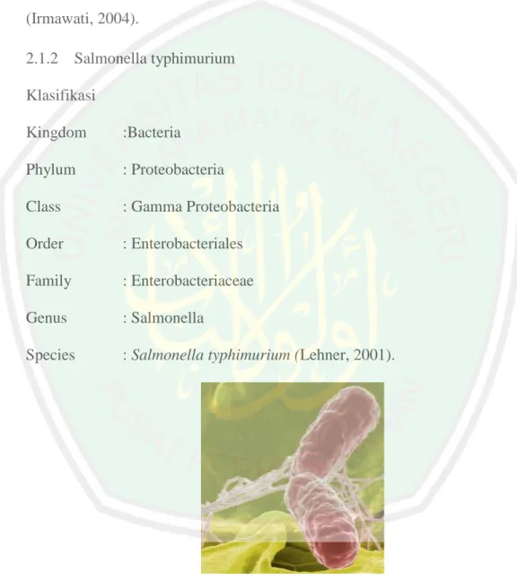 Gambar 2.1 Bakteri Salmonella (Robinson, 2013) 