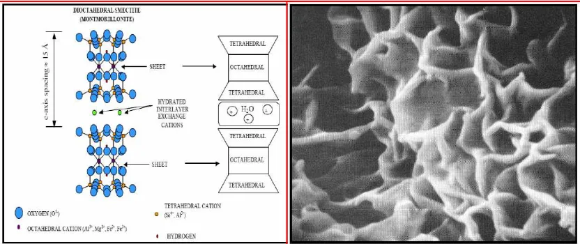 Gambar 2.3. Struktur dan Morpologi dari Montmorillonite (Mitchell and Soga, 2005; McBride,  1994 dalam Anwar, 2009) 