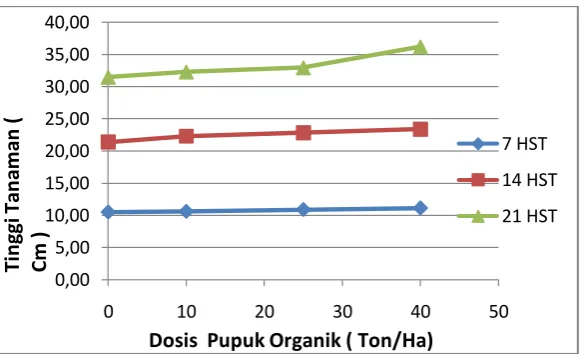 Gambar  6. Grafik Tinggi Tanaman Sawi Umur 7, 14, dan 21 HST Pada Berbagai Perlakuan Dosis Pupuk Organik 