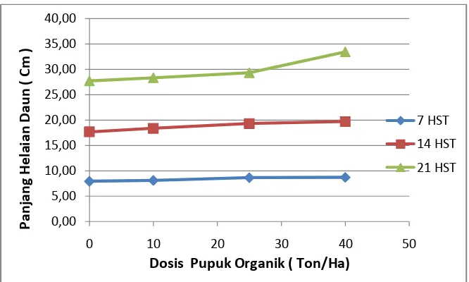 Gambar  7. Grafik Panjang Helaian Daun Tanaman Sawi Umur 7, 14, dan 21 HST Pada Berbagai Perlakuan Jenis Pupuk Organik